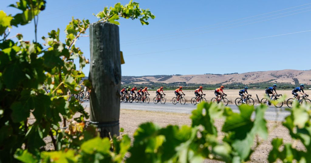 VIVA confirmed as official supplier for Tour Down Under Challenge Jerseys for 2020